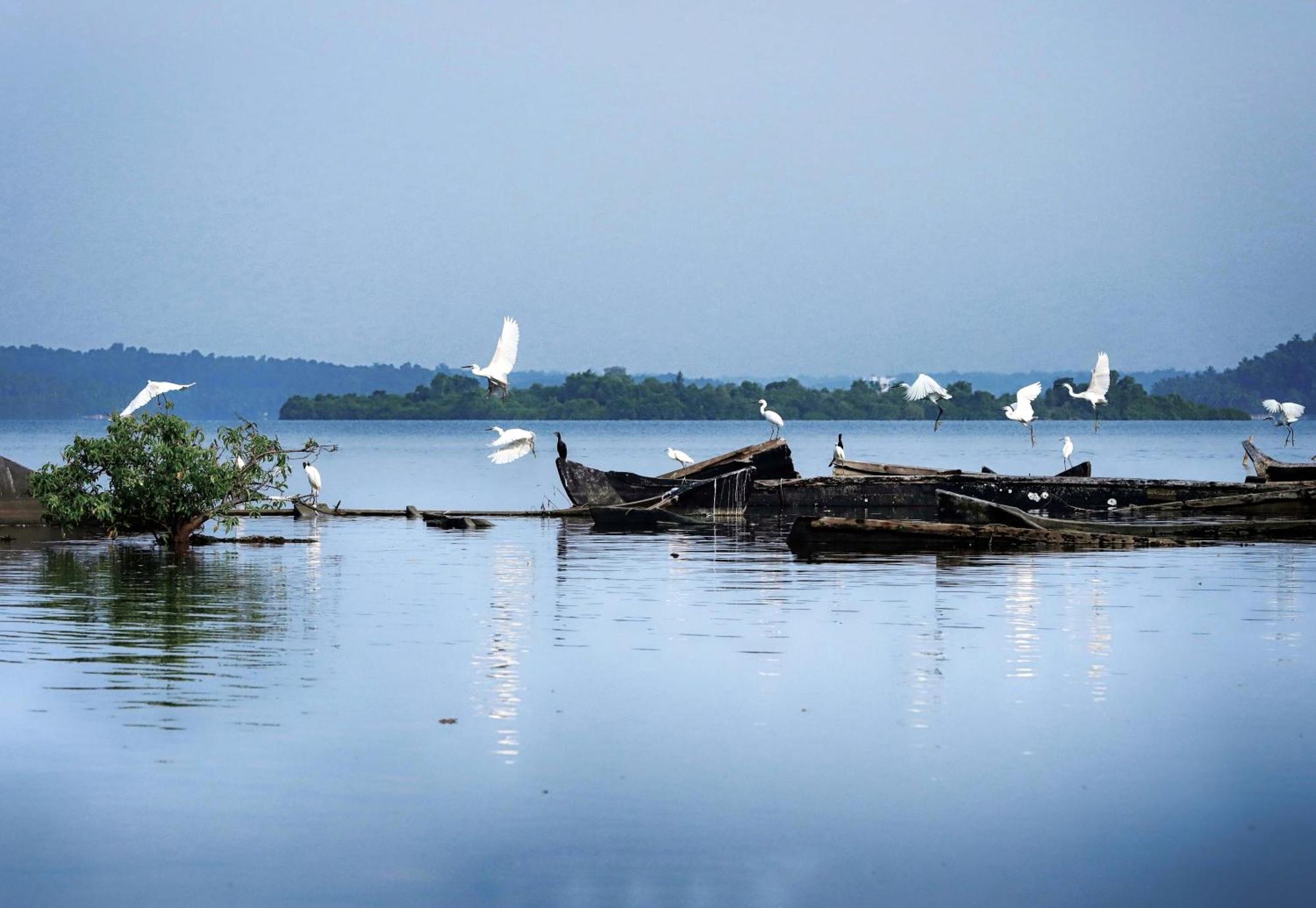 Prakruthi Residency Munroeisland Apartment Mundrothuruth Luaran gambar