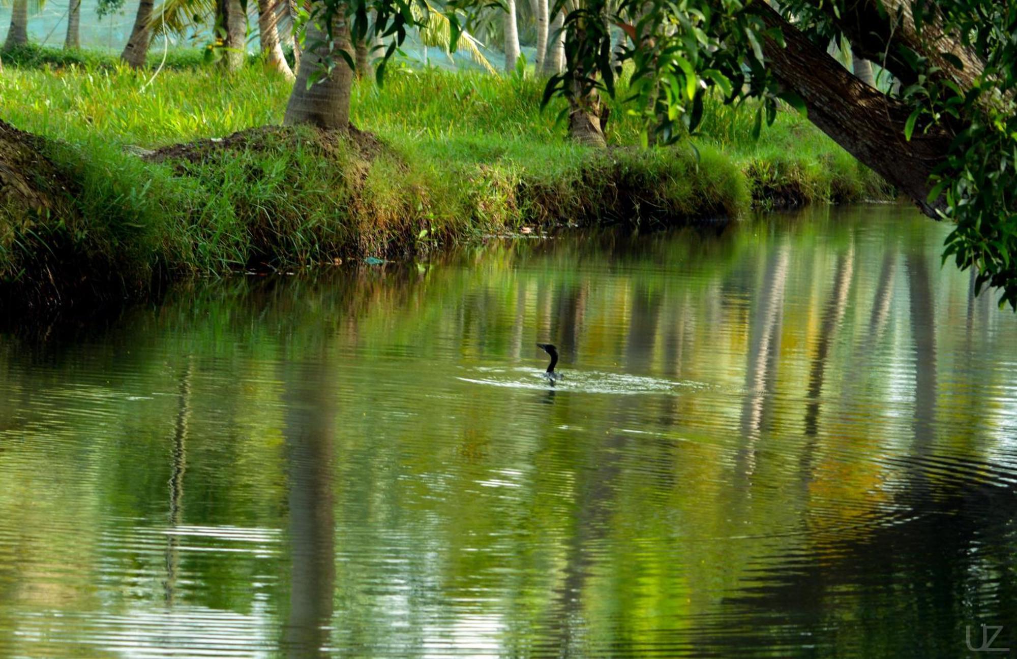 Prakruthi Residency Munroeisland Apartment Mundrothuruth Luaran gambar